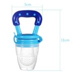 fruit pacifier blue